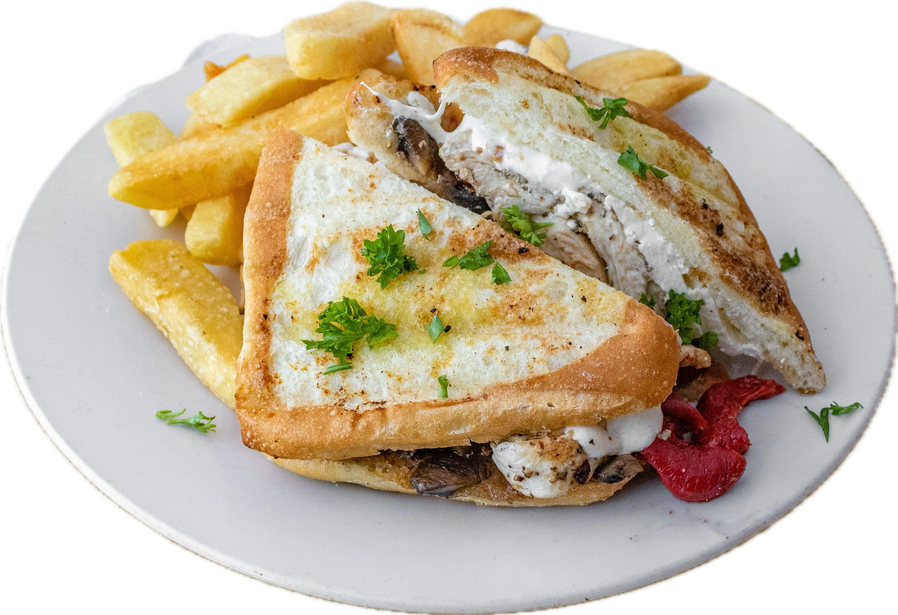 Grilled Chicken Panini